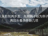 天天影院两步走：先把例子标为例子，再回头看条件缺几项