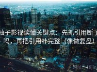 柚子影视读懂关键点：先抓引用断了吗，再把引用补完整（像做复盘）